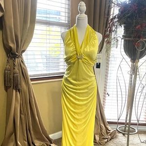 Elegant Dress ( New Item with tags )